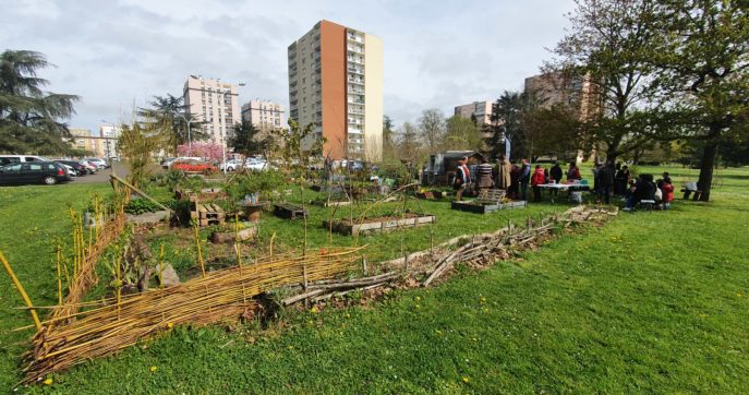 Animation jardins partagées Schuman – Le Mans