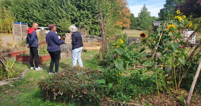 Fête des Jardins ✨🌳 Schuman